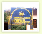 The Bombay Burmah Trading Corporation Limited 