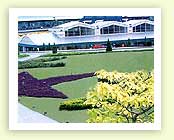 horticulture