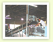 The Bombay Burmah Trading Corporation Limited 