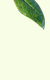 BBTCL