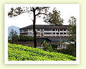 The Bombay Burmah Trading Corporation Limited 