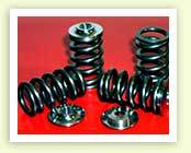 Valve Springs
